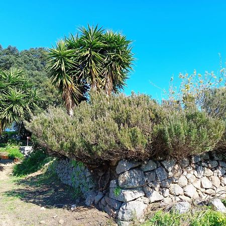 Vinha Do Gaio Villa Montes de Cima ภายนอก รูปภาพ
