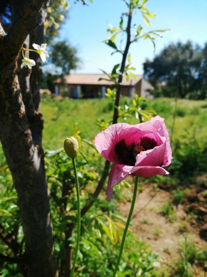 Vinha Do Gaio Villa Montes de Cima ภายนอก รูปภาพ