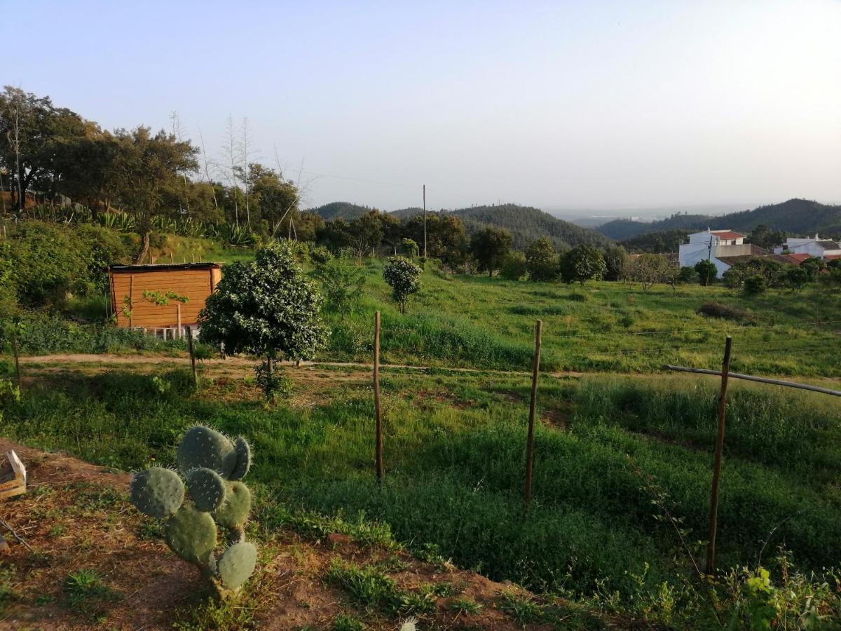 Vinha Do Gaio Villa Montes de Cima ภายนอก รูปภาพ