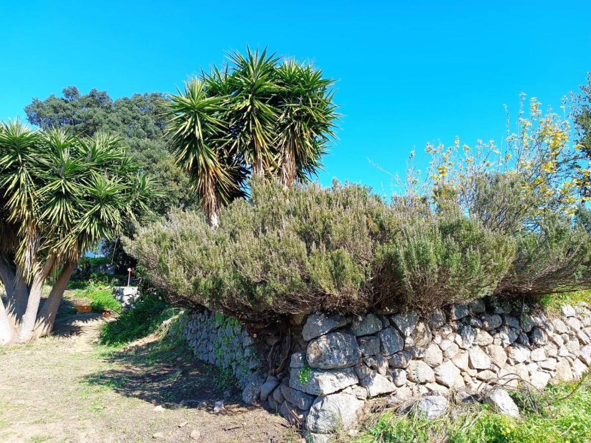 Vinha Do Gaio Villa Montes de Cima ภายนอก รูปภาพ
