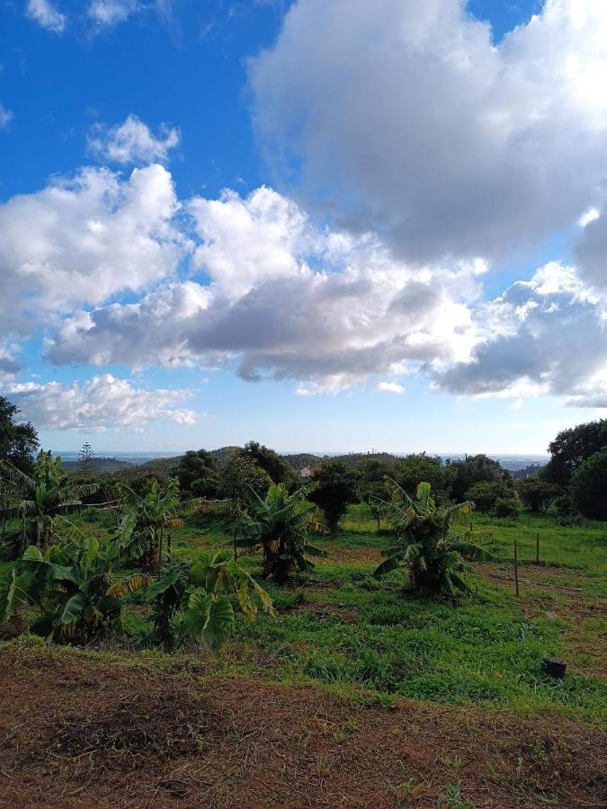 Vinha Do Gaio Villa Montes de Cima ภายนอก รูปภาพ