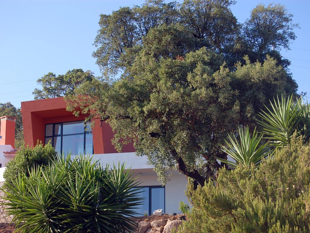Vinha Do Gaio Villa Montes de Cima ภายนอก รูปภาพ