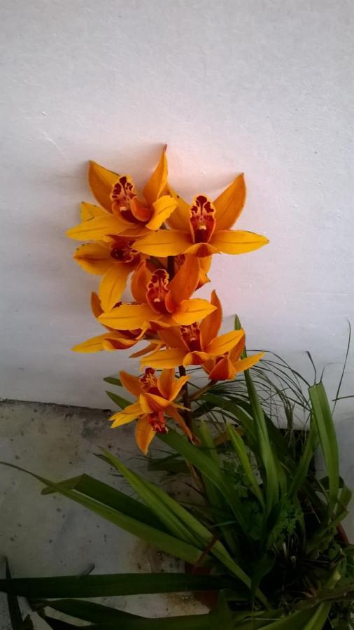 Vinha Do Gaio Villa Montes de Cima ภายนอก รูปภาพ