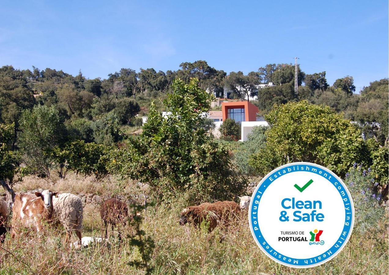 Vinha Do Gaio Villa Montes de Cima ภายนอก รูปภาพ